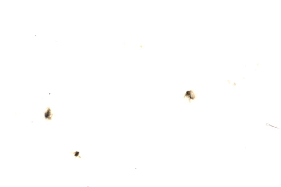 Image 112
